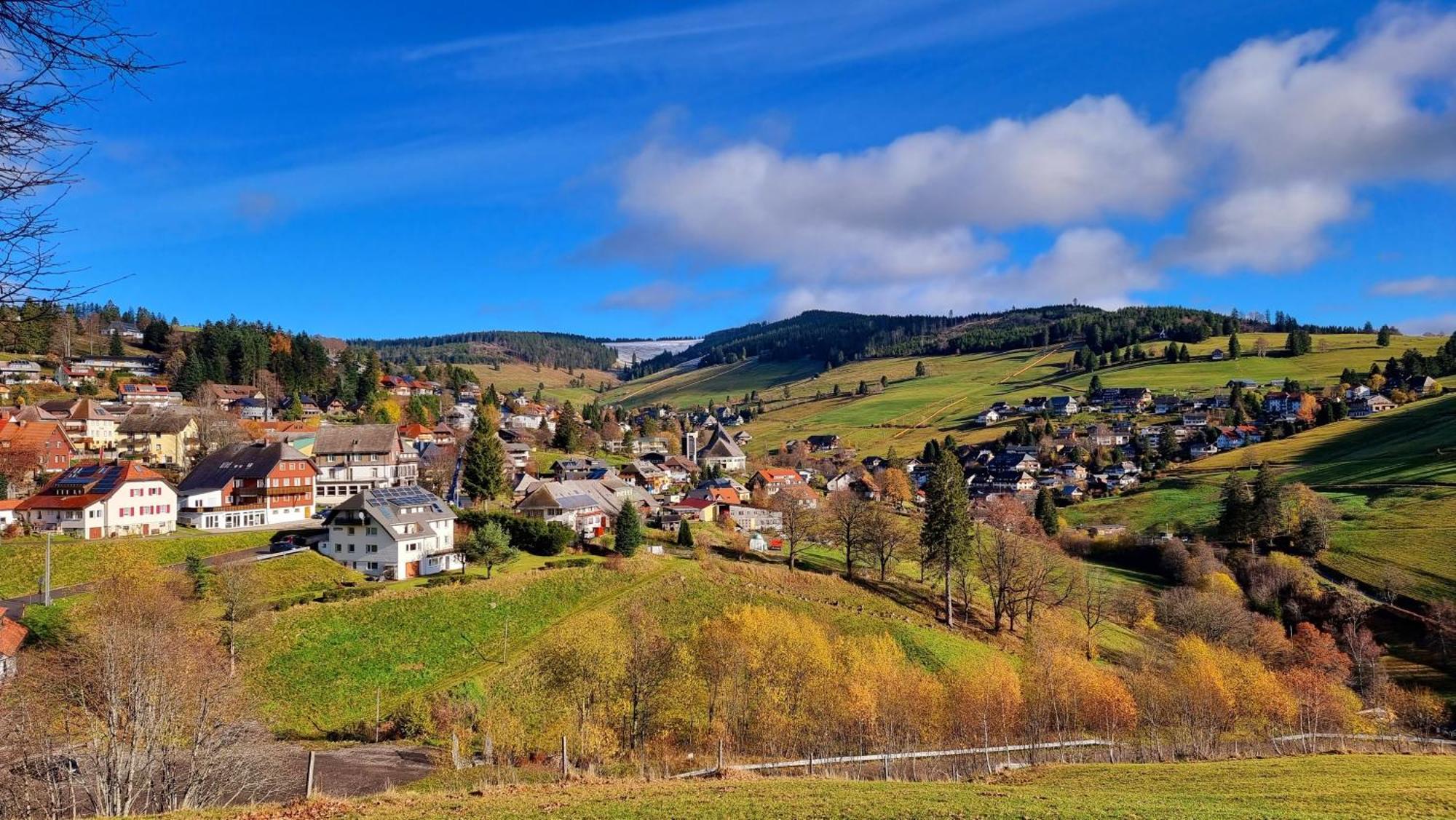"Schwarzwaldblick" Ferienwohnung 2-4 Pers 65Qm, Schoene Ruhige Suedhanglage Mit Herrl Aussicht Тодтнау Экстерьер фото