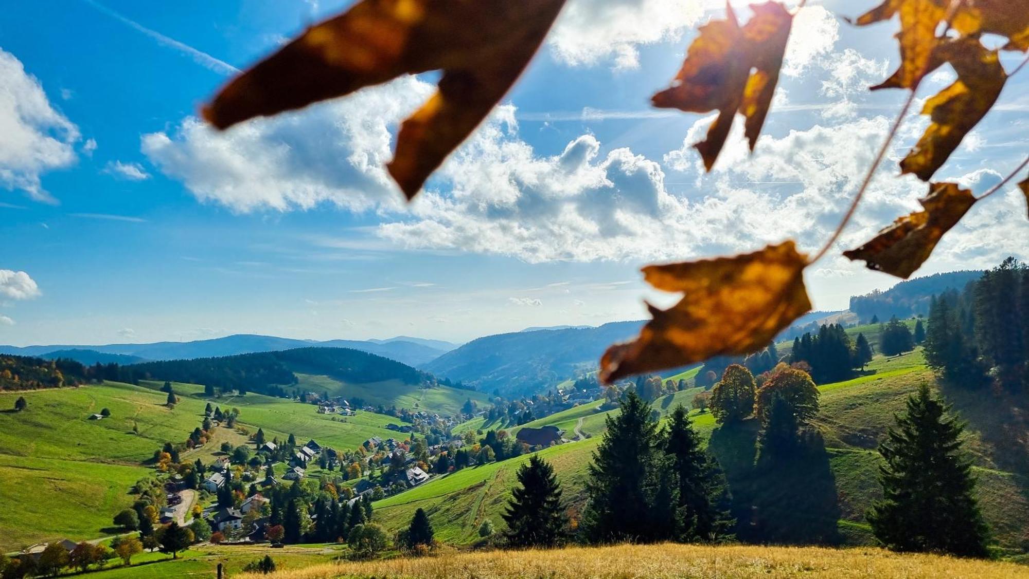 "Schwarzwaldblick" Ferienwohnung 2-4 Pers 65Qm, Schoene Ruhige Suedhanglage Mit Herrl Aussicht Тодтнау Экстерьер фото